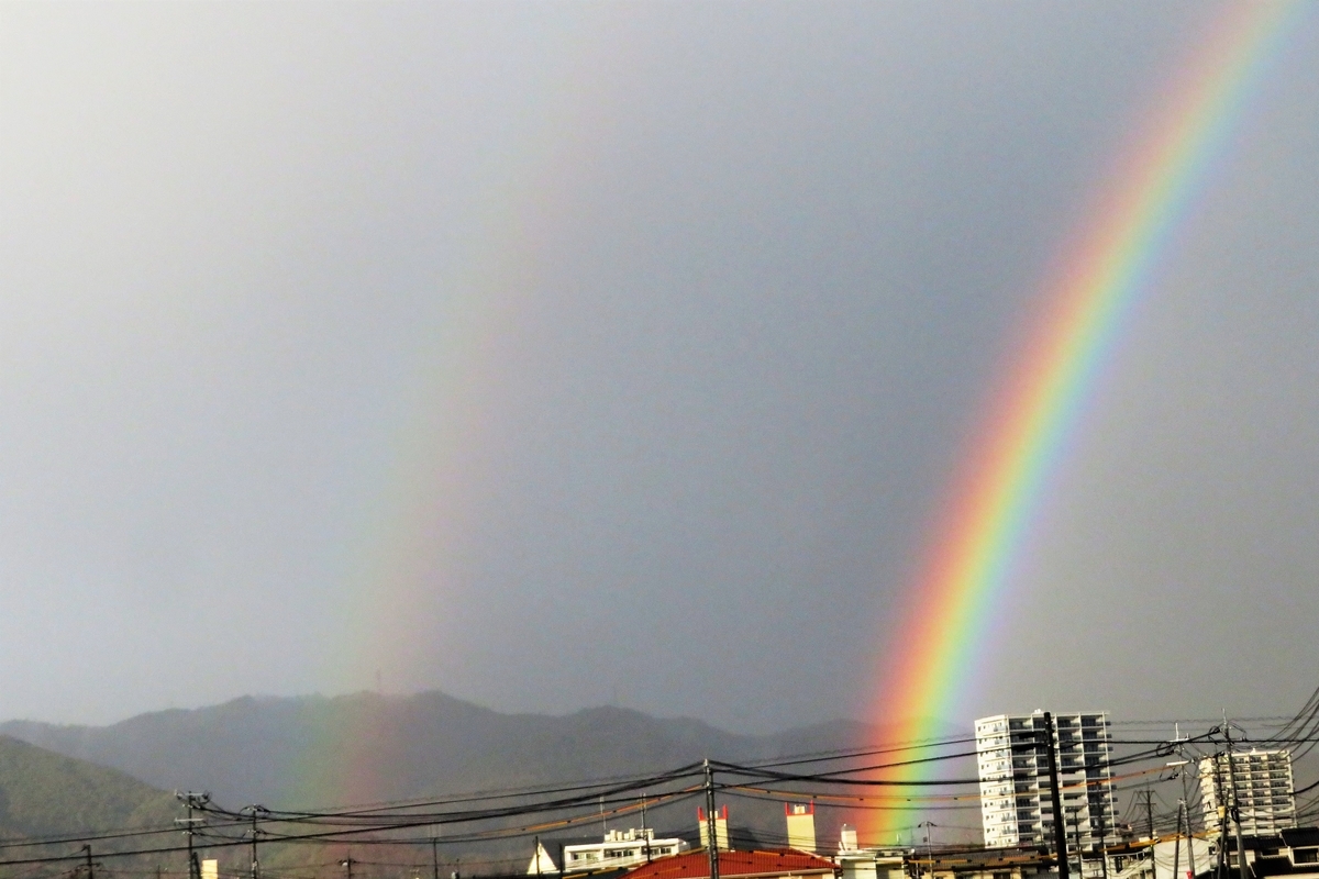 f:id:grk1:20220210184127j:plain