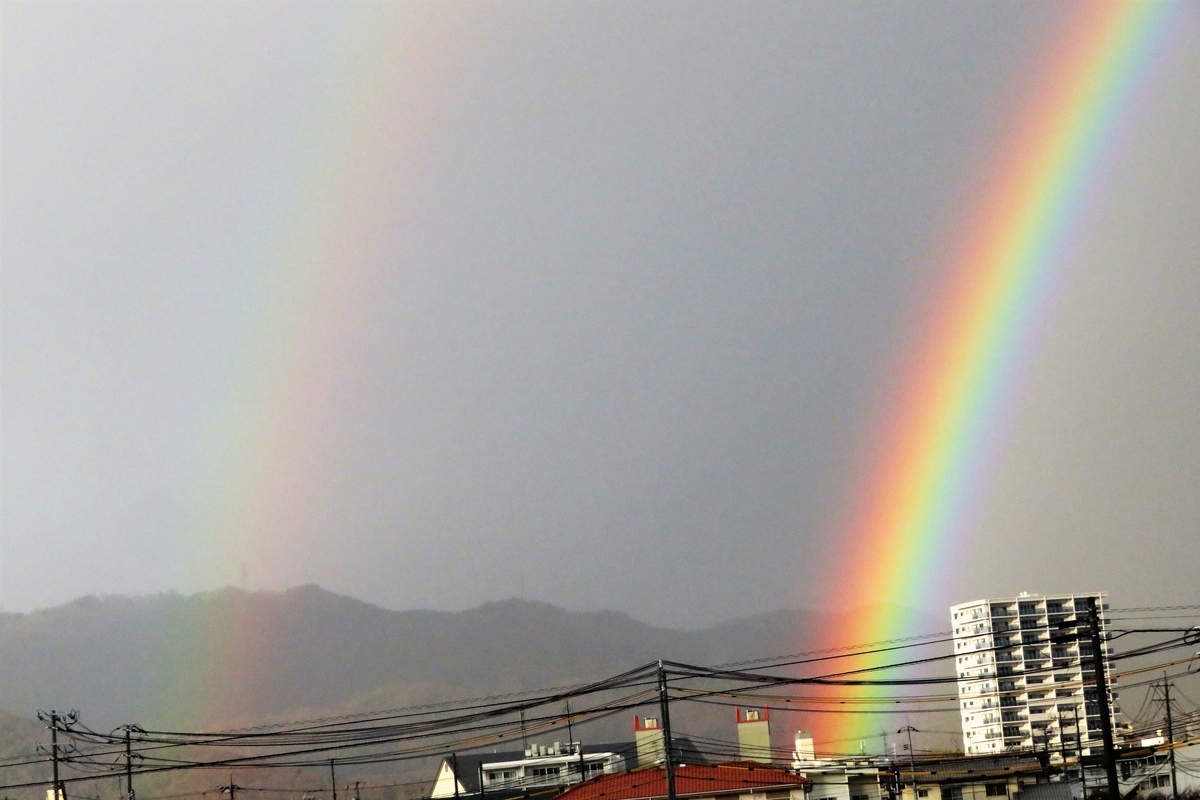 f:id:grk1:20220210184335j:plain