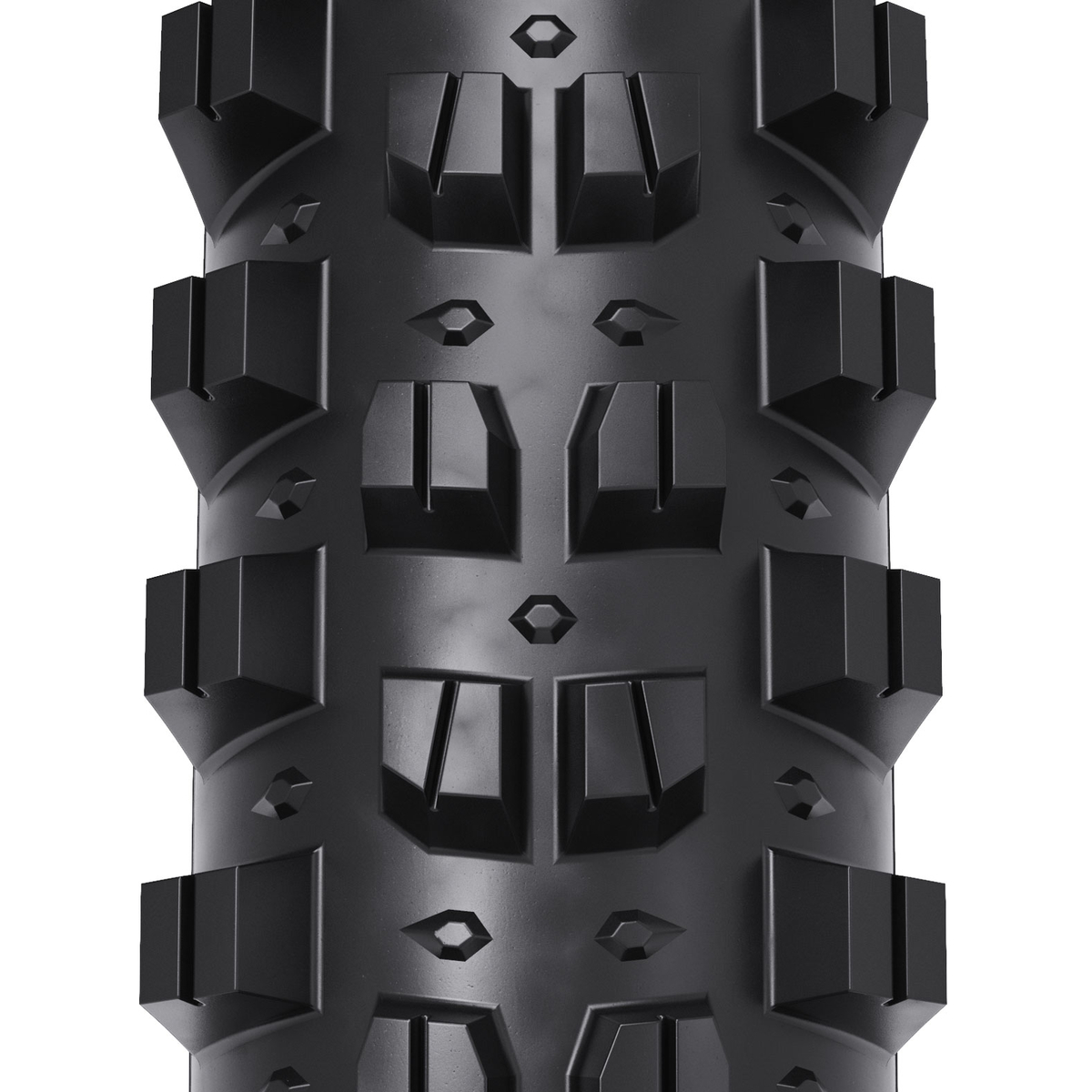 f:id:groberide_sc:20210311110041j:plain
