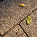 20121121202703
