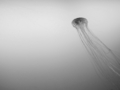 20130212193943