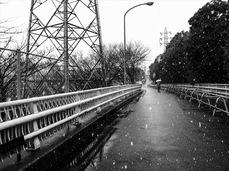 20130219155912