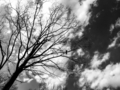 20130221190203