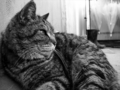20130225190017