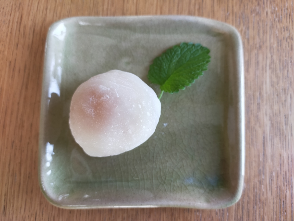 f:id:grunwald-midori:20210407161216j:plain