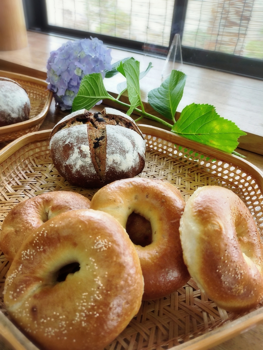 f:id:grunwald-midori:20210605202425j:plain