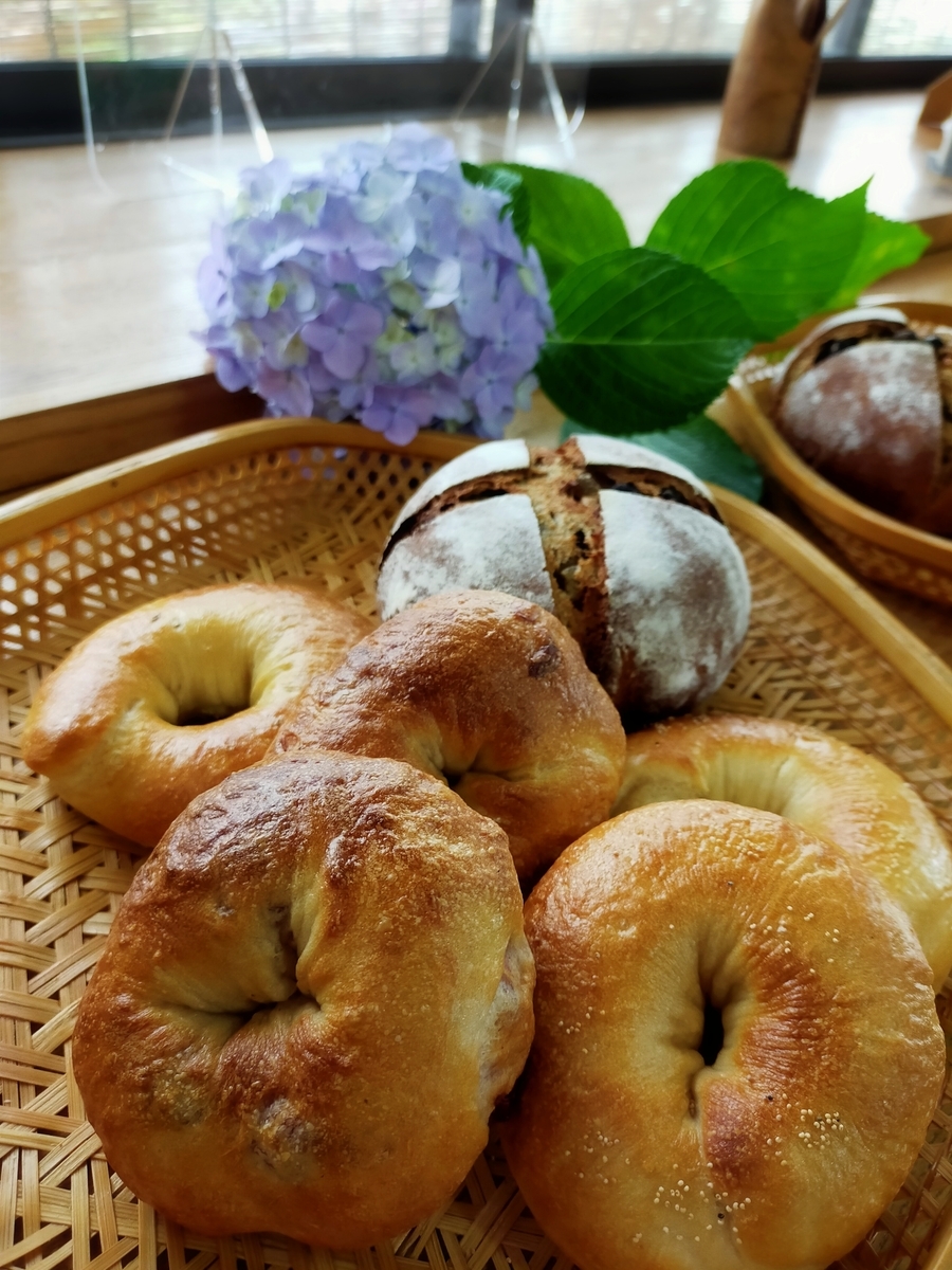 f:id:grunwald-midori:20210605202451j:plain