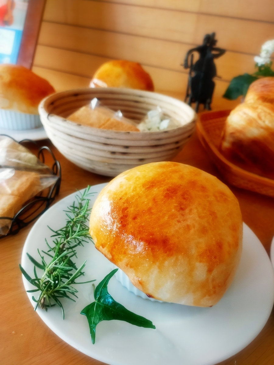 f:id:grunwald-midori:20211116204810j:plain