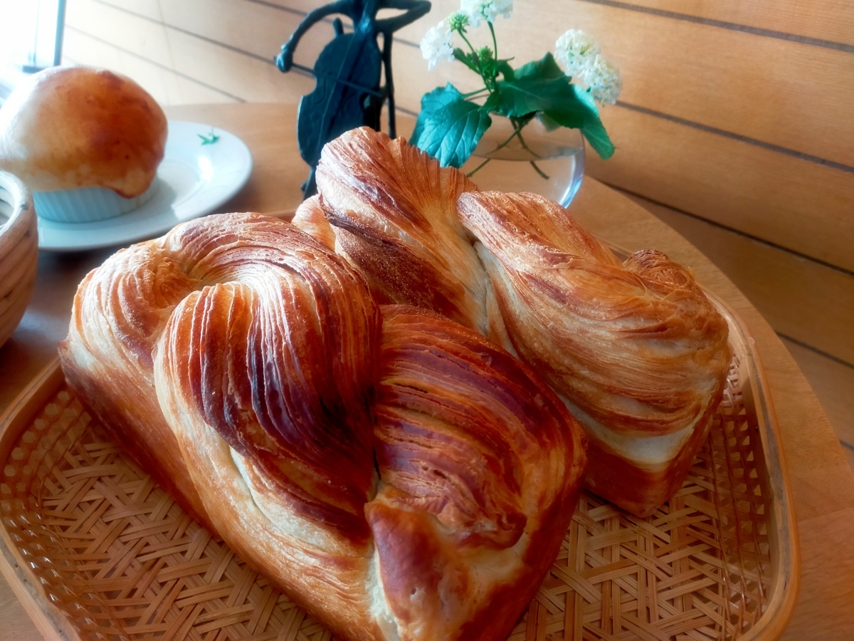 f:id:grunwald-midori:20211116204920j:plain