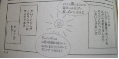 f:id:gryphon:20080130085545j:image:left