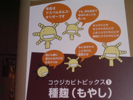 f:id:gryphon:20081109144353j:image