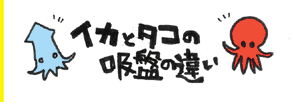 f:id:gryphon:20091223030758p:image