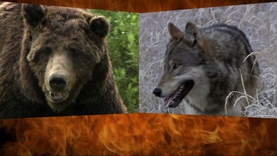 f:id:gryphon:20110514071954j:image f:id:gryphon:20110514071954j:image