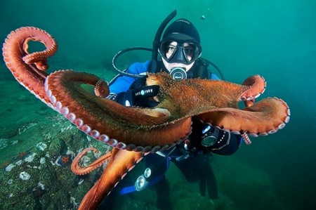 f:id:gryphon:20120707074426j:image