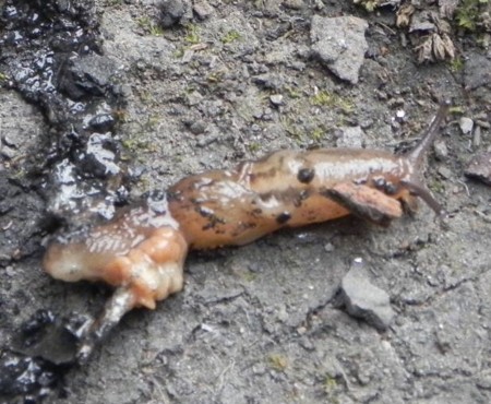 f:id:gryphon:20120819082747j:image:w640 f:id:gryphon:20120819082747j:image:w640