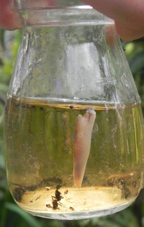 f:id:gryphon:20120819191627j:image