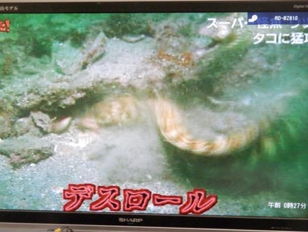 f:id:gryphon:20130711062834j:image
