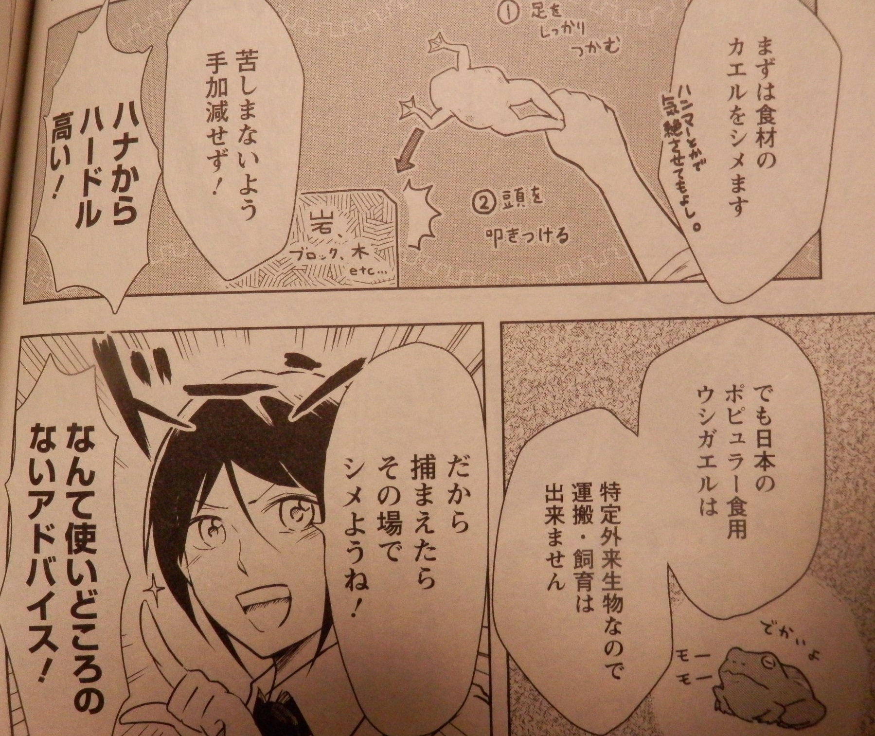 桐谷 さん ちょ っ それ 食う ん すか