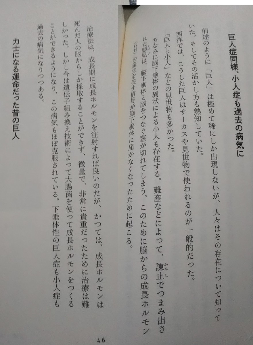 f:id:gryphon:20200525142717j:plain