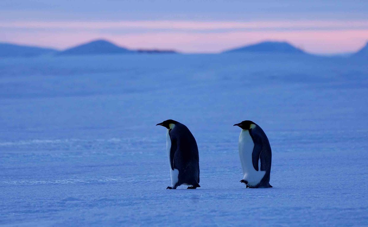 f:id:gryphon:20200527095749j:plain