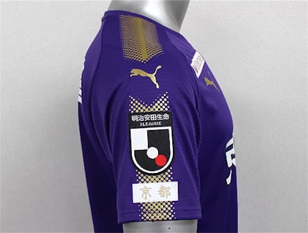 f:id:gsfootball3tbase3gbmusic:20190105144147j:image