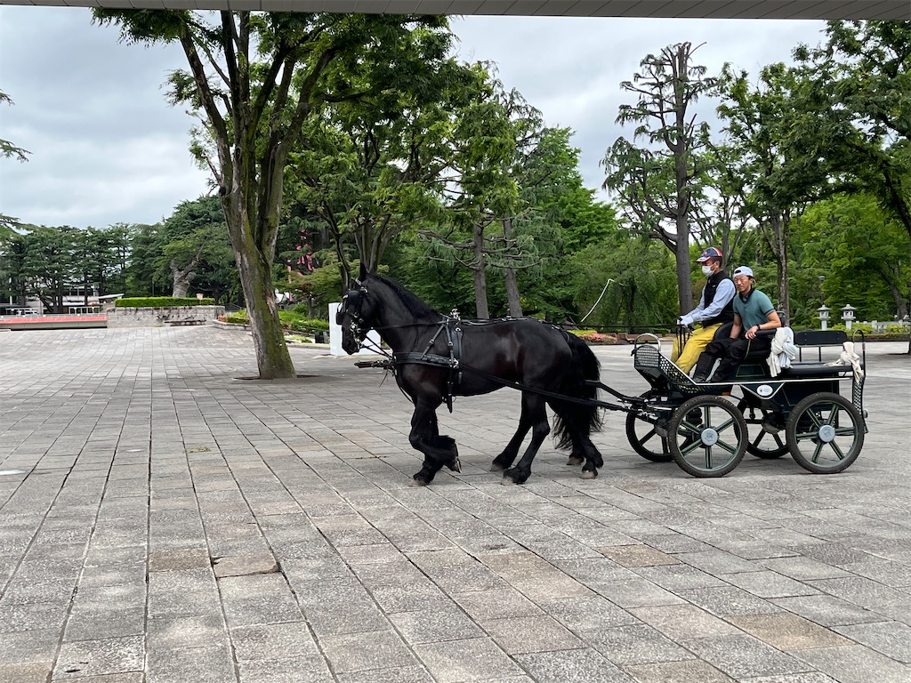 f:id:gsfootball3tbase3gbmusic:20240526084932j:image f:id:gsfootball3tbase3gbmusic:20240526084932j:image