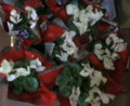 20081211162800