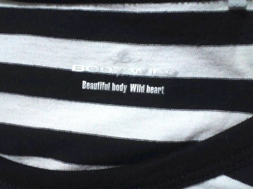 bodywildのボーダーTシャツ