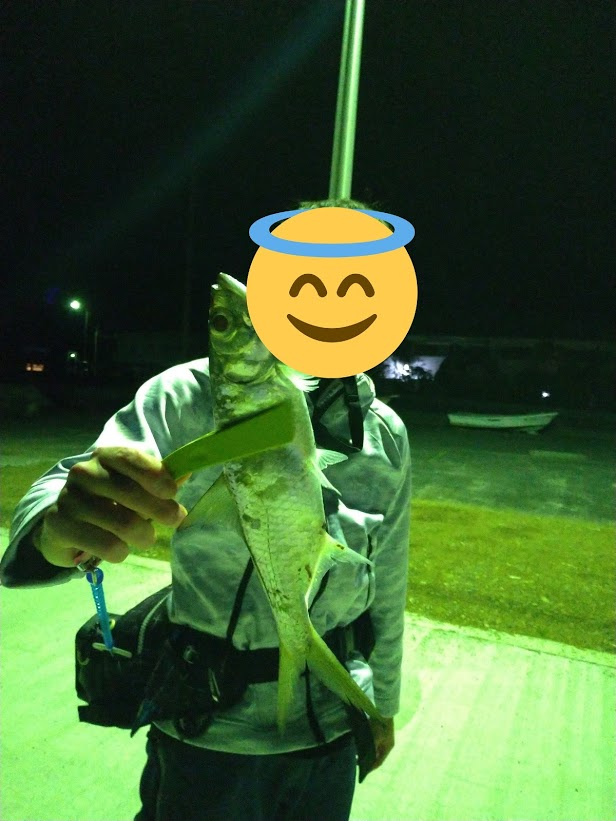 f:id:gsxs750:20190414101157p:plain f:id:gsxs750:20190414101157p:plain