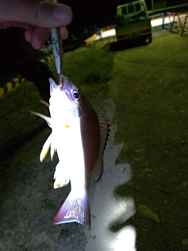 f:id:gsxs750:20190414102635p:plain f:id:gsxs750:20190414102635p:plain