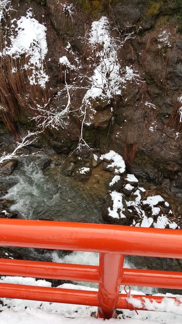 20160222_104743.jpg