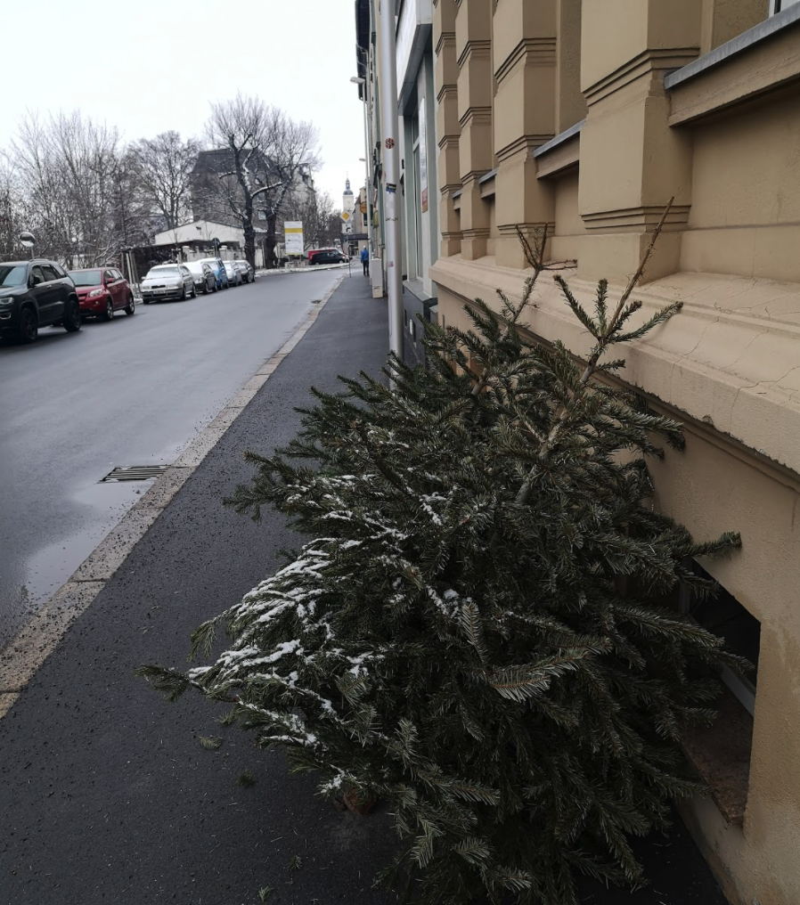 クリスマスツリーを捨てる日 ドイツ生活とドイツ語学習の備忘録