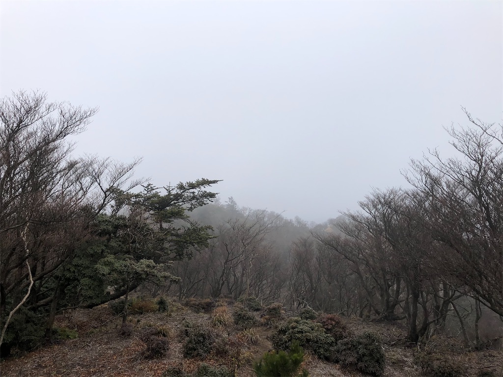 f:id:gtotom5103:20210418151246j:image
