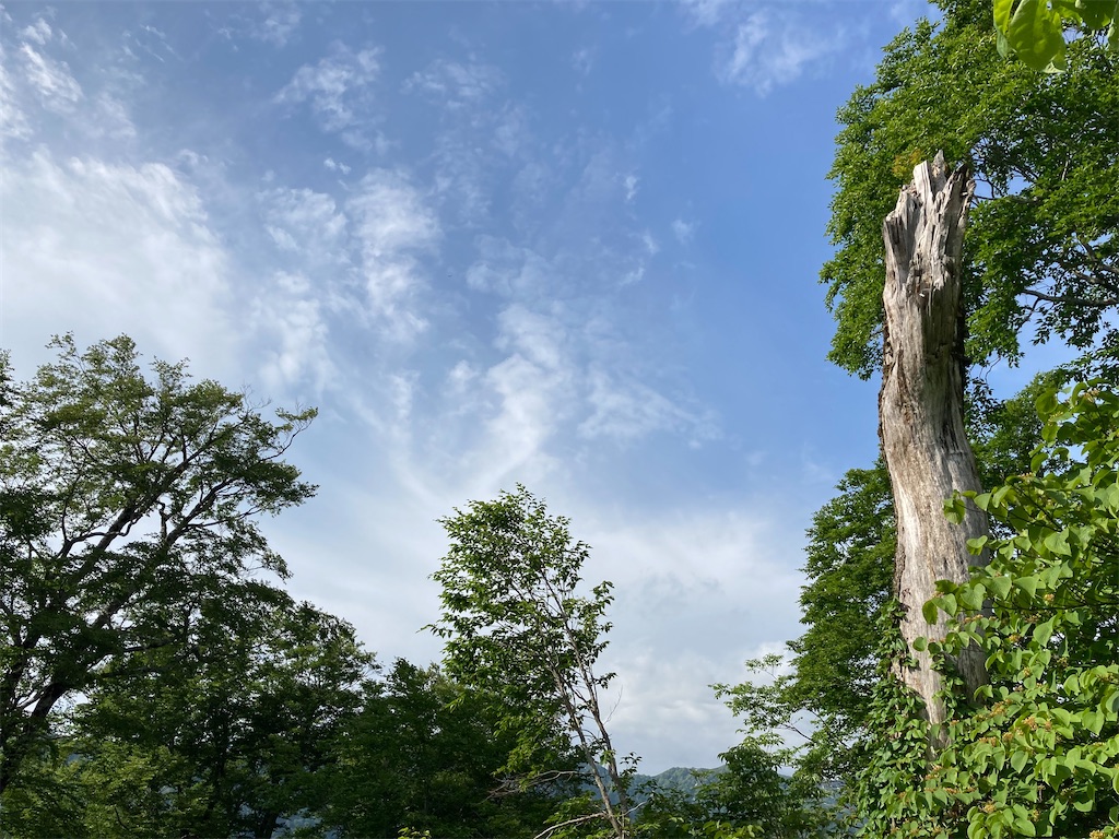 f:id:gtotom5103:20210626112324j:image