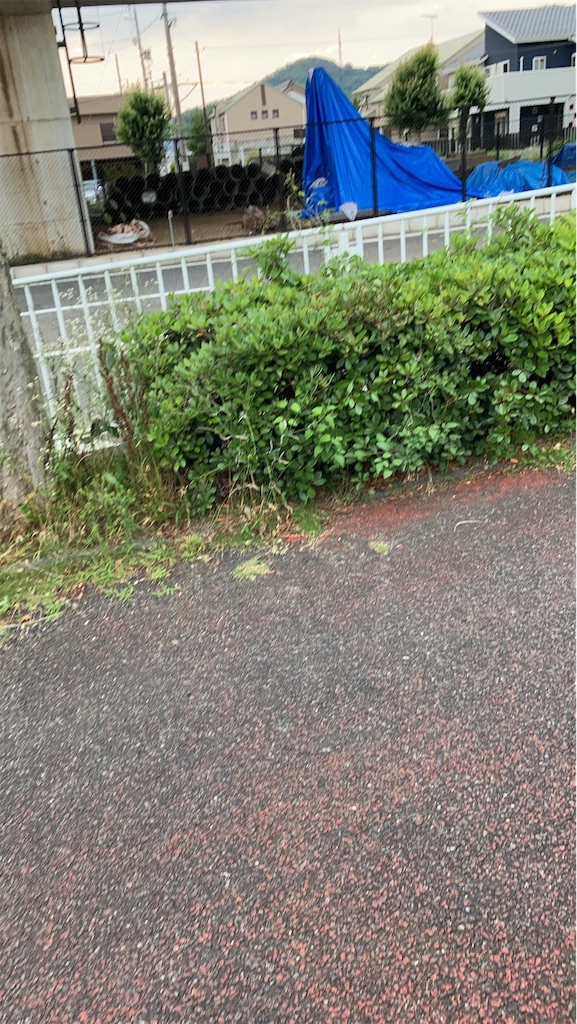 f:id:gtotom5103:20210626193817j:image