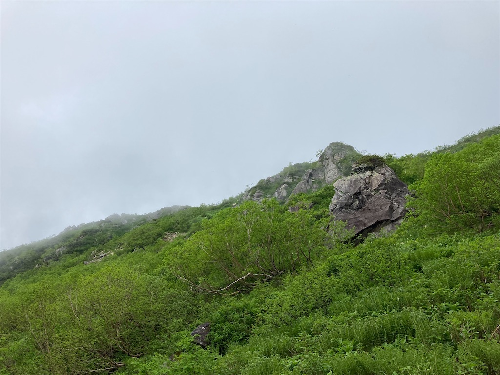 f:id:gtotom5103:20210714174556j:image