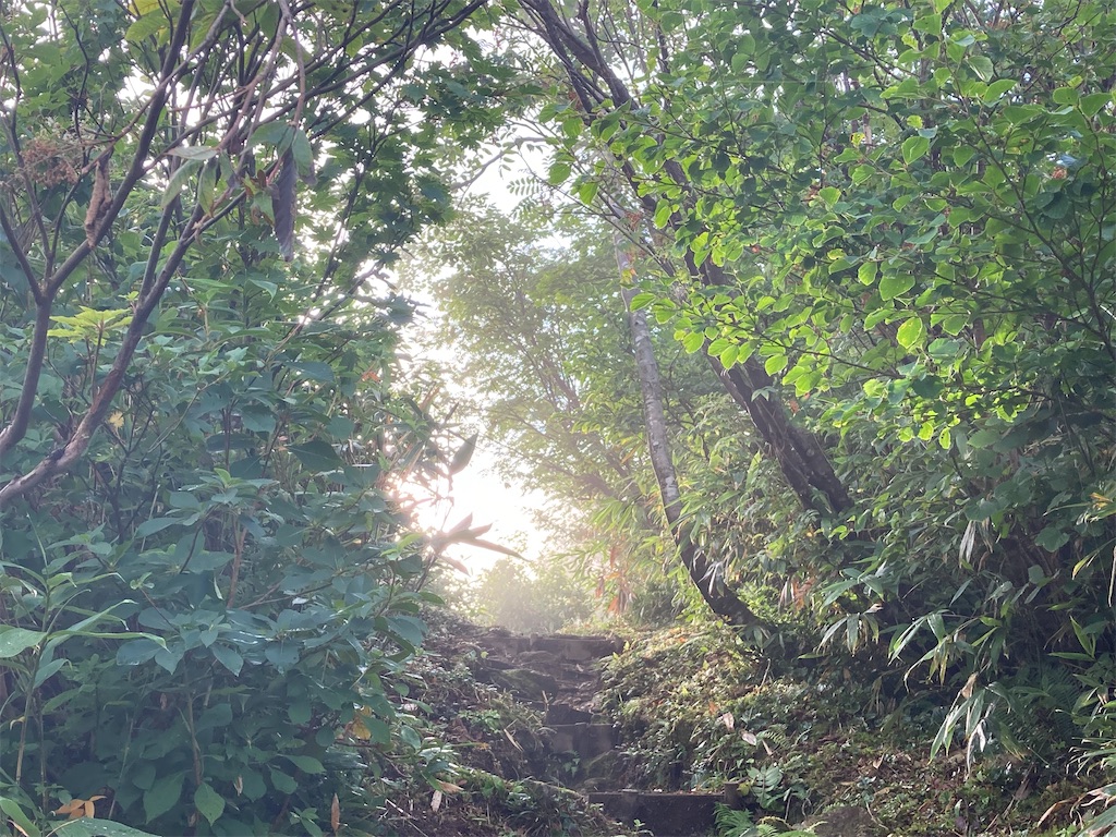 f:id:gtotom5103:20210901160522j:image