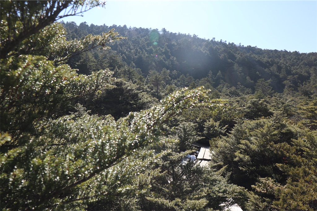 f:id:gtotom5103:20211231105146j:image