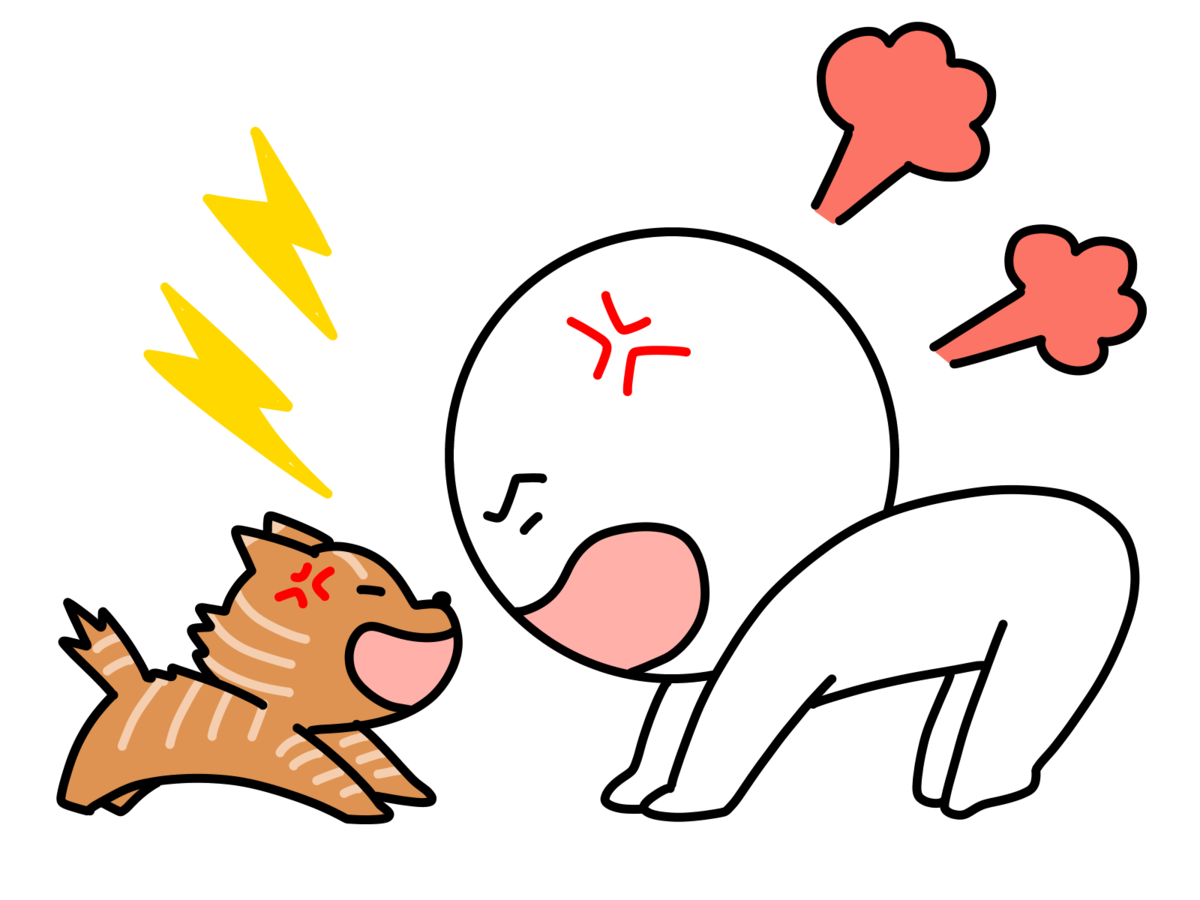 猫とケンカ