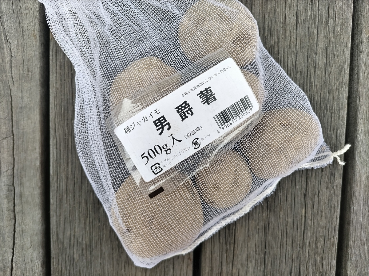 じゃがいもを芽出し無しでポット苗から育ててみる - 毎日種蒔