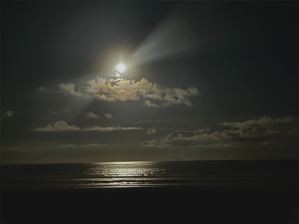 f:id:gu0603016:20230901205814j:image