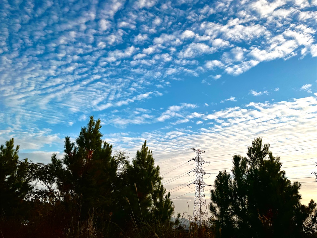 f:id:gu0603016:20231105220041j:image