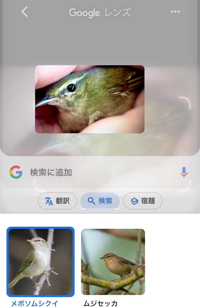 f:id:gu0603016:20231230212811j:image