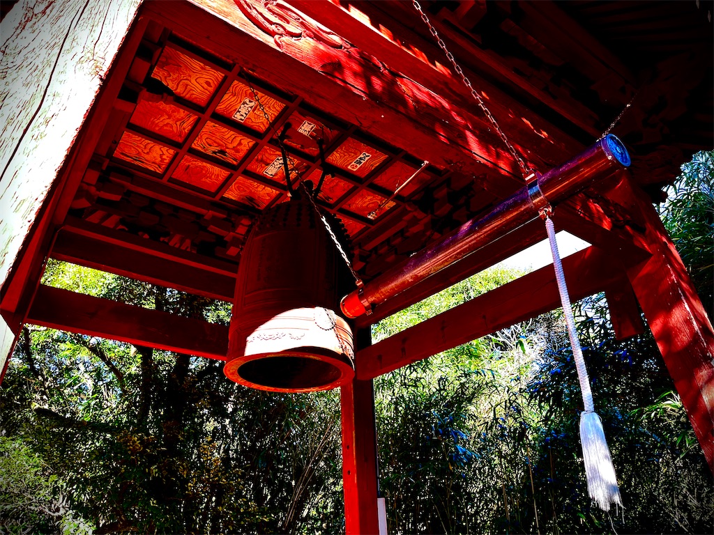 f:id:gu0603016:20240108181535j:image