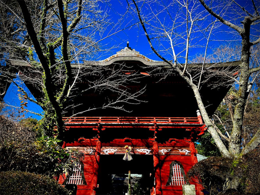f:id:gu0603016:20240108181539j:image