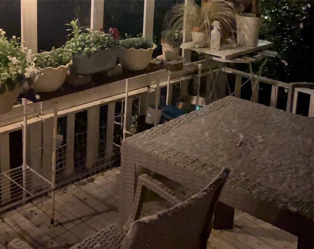 f:id:gu0603016:20240113182152j:image