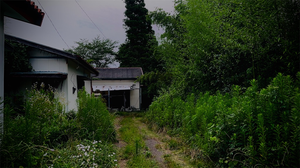 f:id:gu0603016:20240711205500j:image