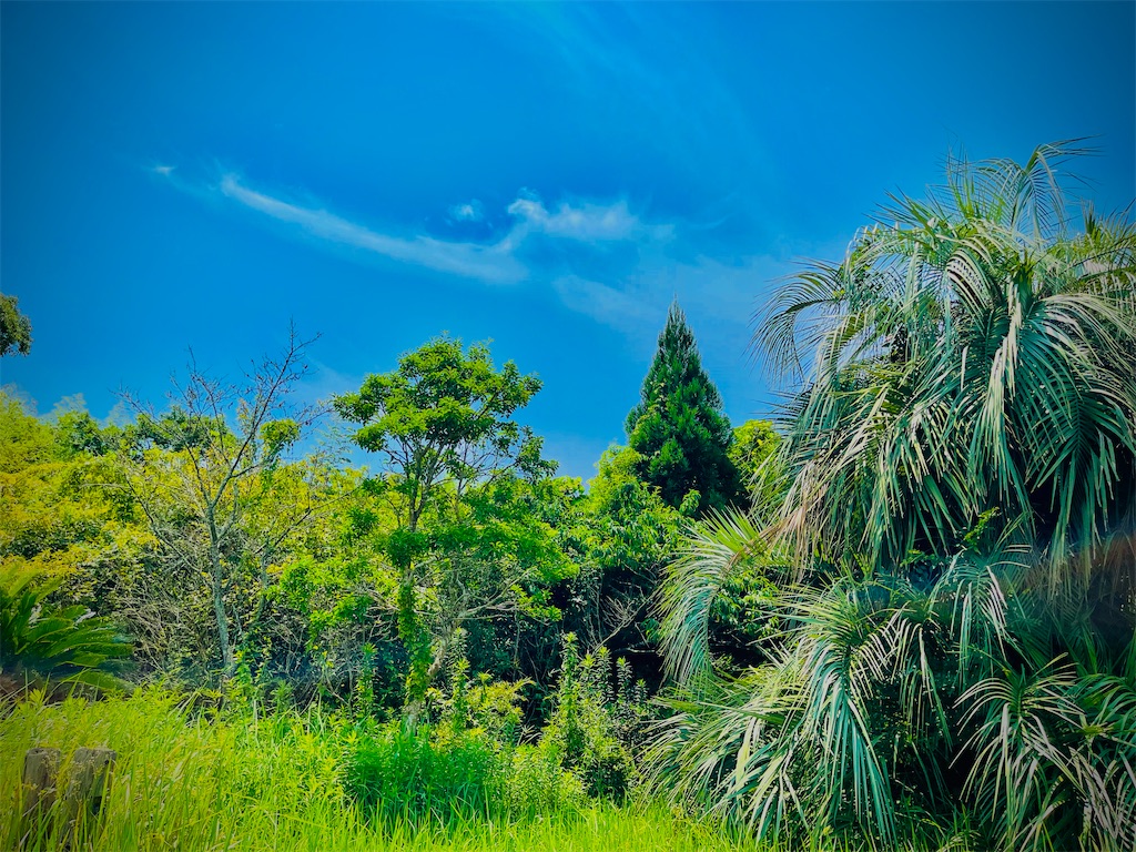 f:id:gu0603016:20240718191720j:image f:id:gu0603016:20240718191720j:image