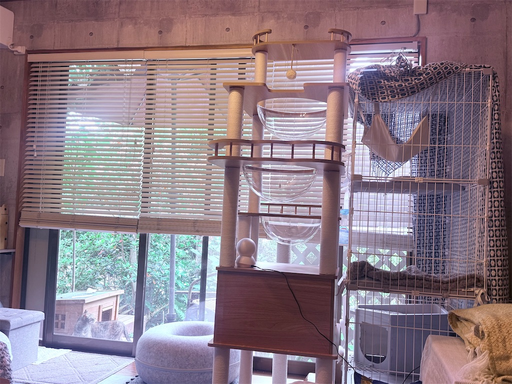 f:id:gu0603016:20250516200949j:image