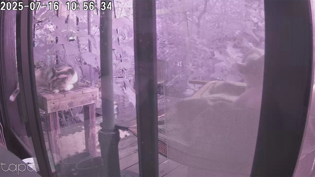 f:id:gu0603016:20250716212140j:image